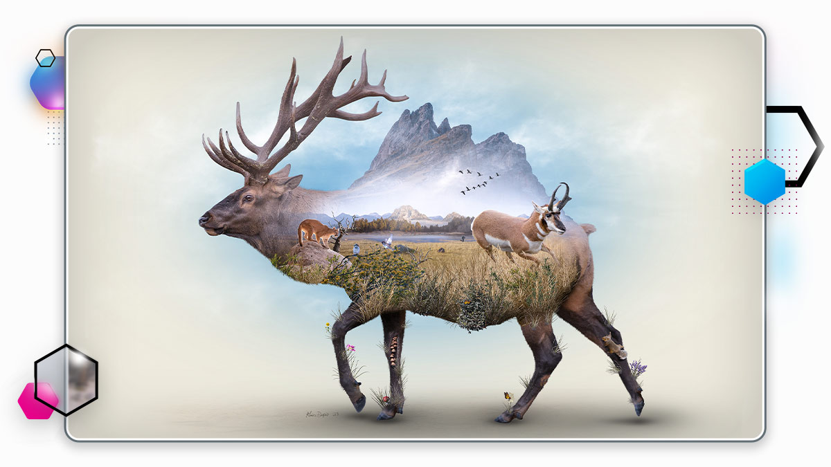 The Elk and the Watering Hole